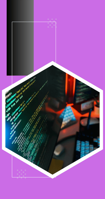 professonal website