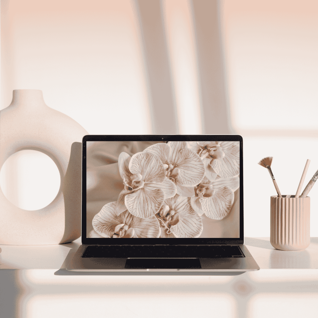 Case Studio